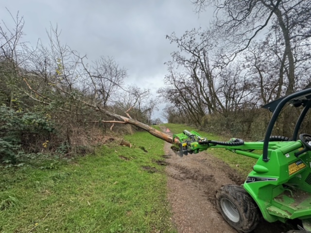 Mit unseren kraftvollen Maschinen k&ouml;nnen wir nicht nur ganze abgestorbene B&auml;ume bewegen...